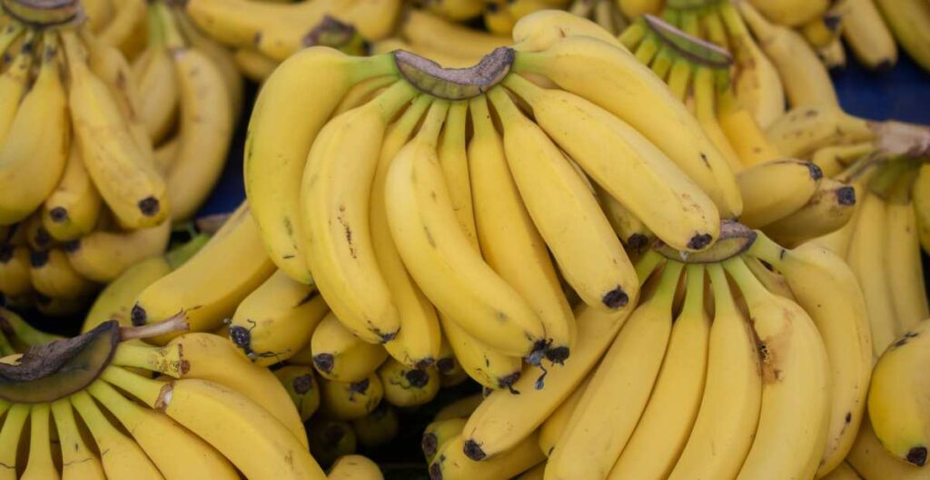 Photo of bananas a costa rican fruit