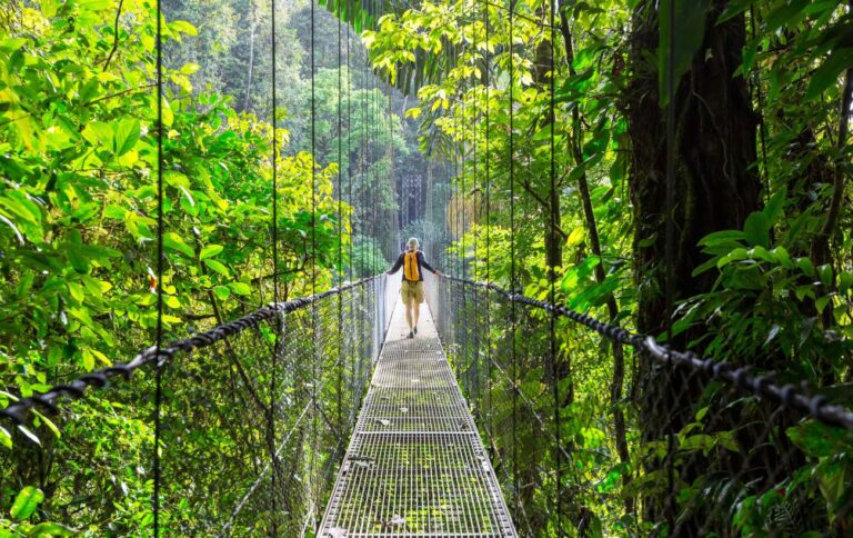 Photo of a man walking on a hanging bridge in the middle of costa rica tropical rainforest