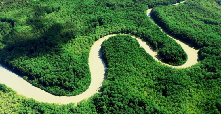 Aerial photo of Sierpe River in Costa Rica, showcasing the biodiversity of costa rica