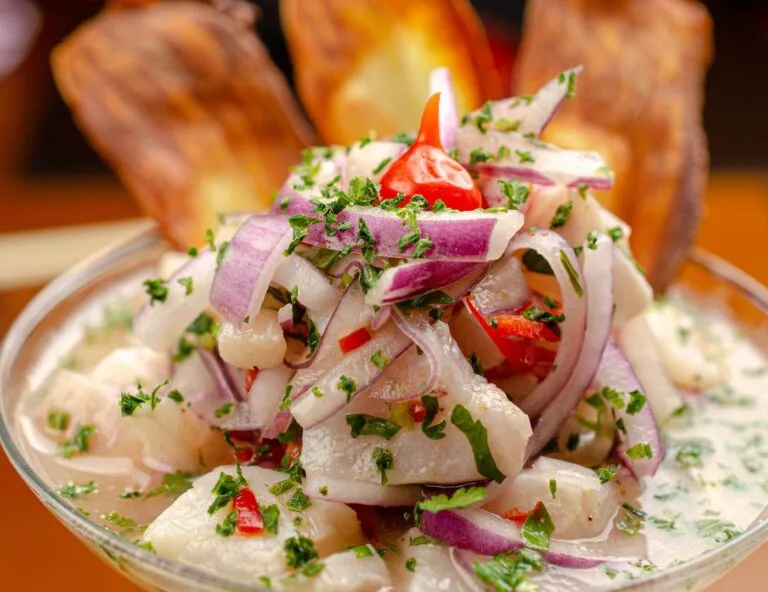 Photo of a nice costa rican ceviche