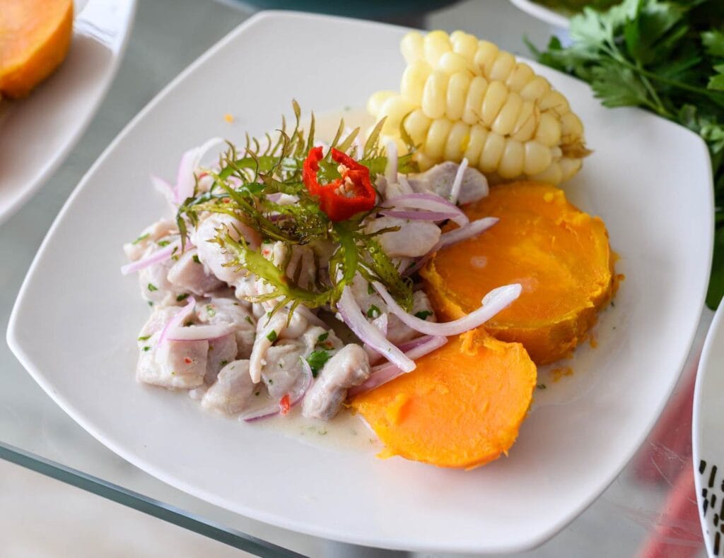 Photo of a nice costa rican ceviche