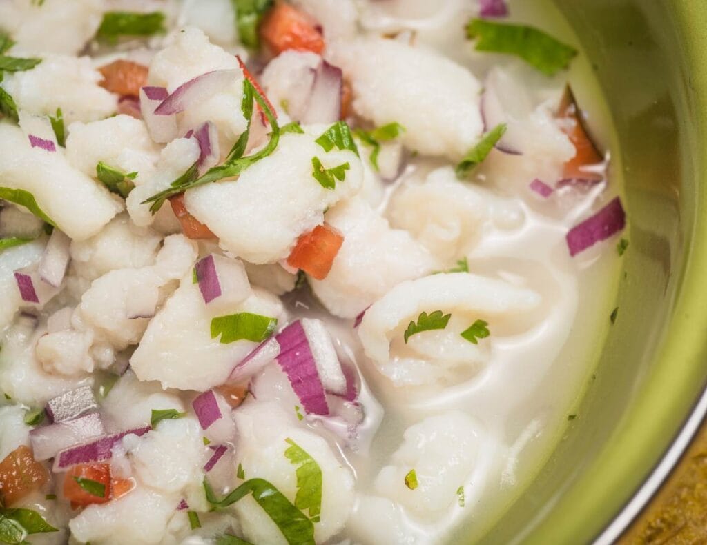 Photo of a nice costa rican ceviche